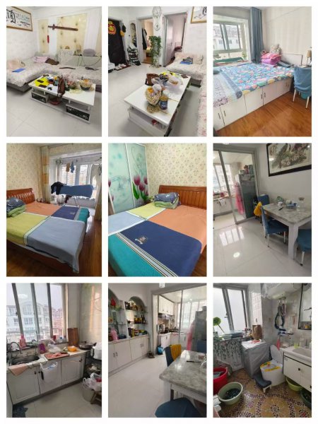 小博士幼儿园，二中，文峰小学房源