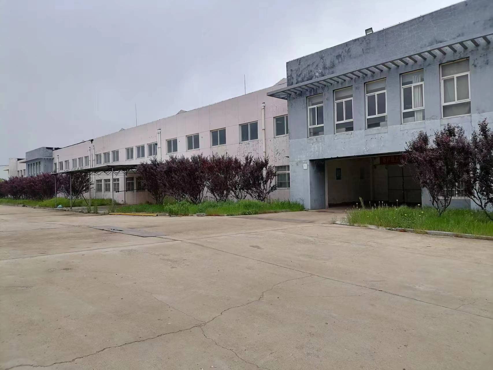 出租万得产业园厂房、办公室（文登环岛公园南100米路东）