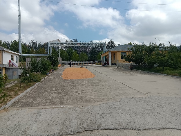 文登经济开发区虎山路厂房场地出租