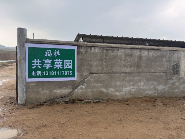 文登共享菜园出租
