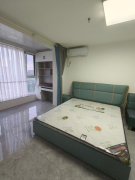 山伟学府7楼南向41平19万
