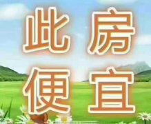 @26.8万，白菜价，银海绿洲框架楼惊喜不断