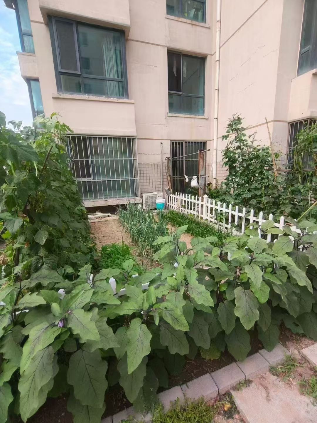@1200/月，银河世家，电梯3楼带空中花园