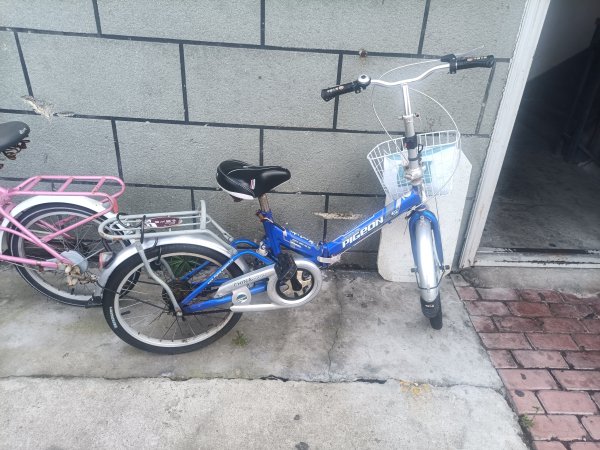 飞鸽自行车