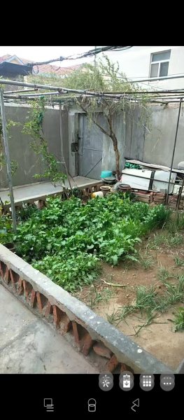 五龙街一楼出租