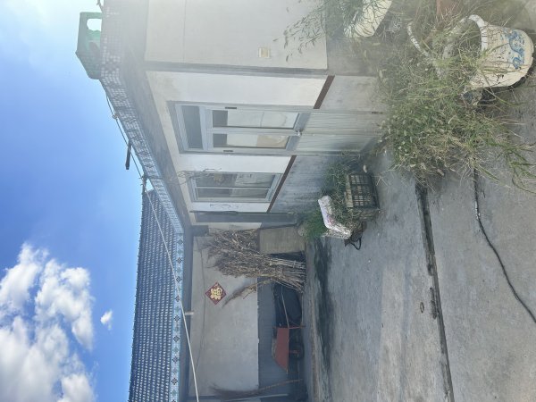 葛家镇赤金泊村好地角四间平方出租