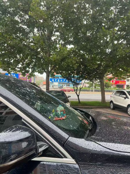 文登福泉名居小区北门东侧有门市房对外出租