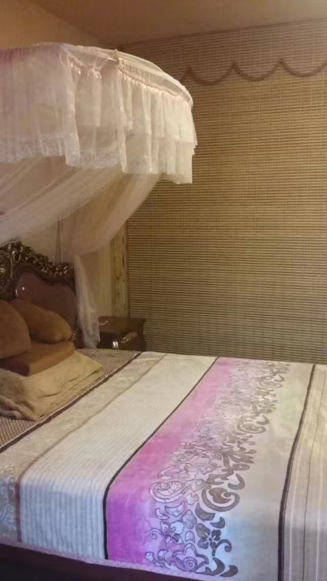 @1000/月，龙港外滩，12楼，西向