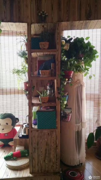 @1000/月，龙港外滩，12楼，西向