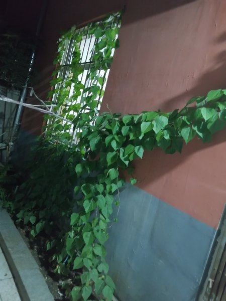 香和苑对面，大润发北，生产街一楼带院对外出租