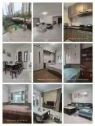 碧桂园翡翠郡一楼带下跃共256平40平院子大王椰装修99.8