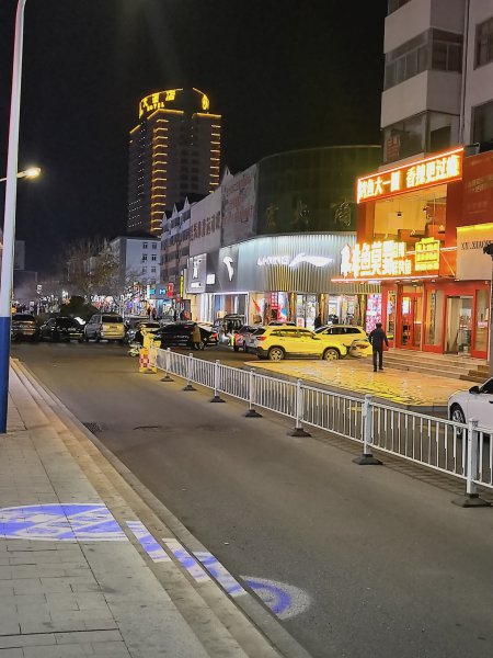 文登非鱼莫蜀烤鱼步行街店