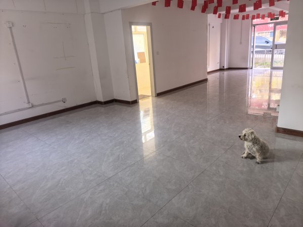城南单山路旺铺出租