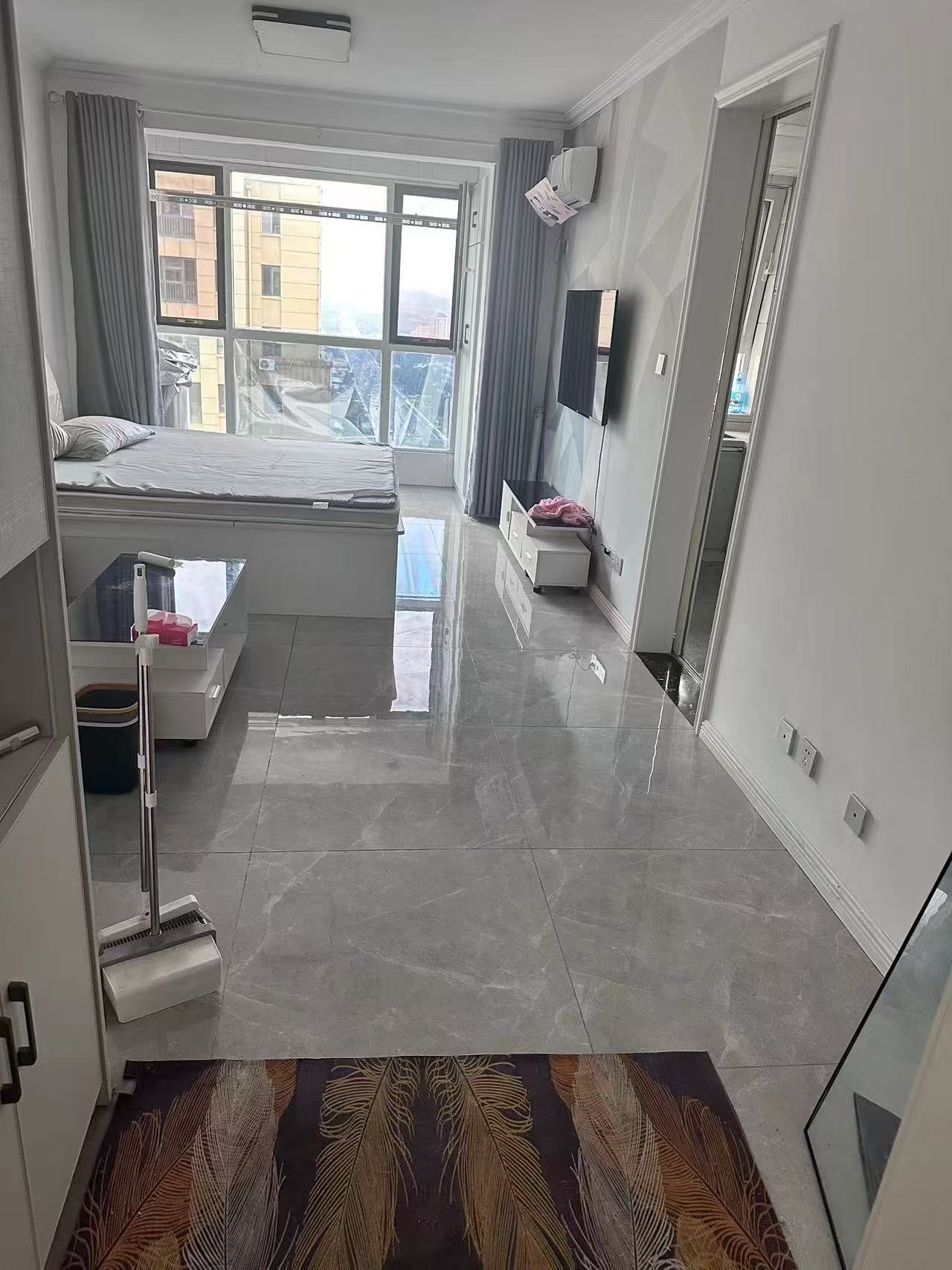 山偉學府出租南向41平米的樓房