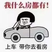 新村西平房占地160平9万