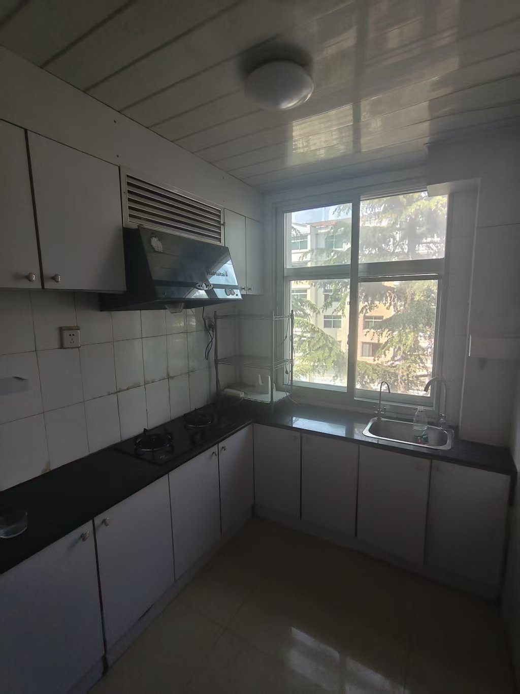 @出租:950，实验凤凰山昆嵛南路