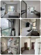 山伟学府南向41平16.5w