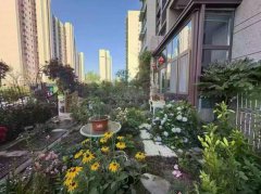 翡翠郡最平坦的楼座一楼带前院60个品种花卉63.8万